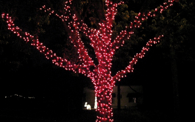 holiday string lights
