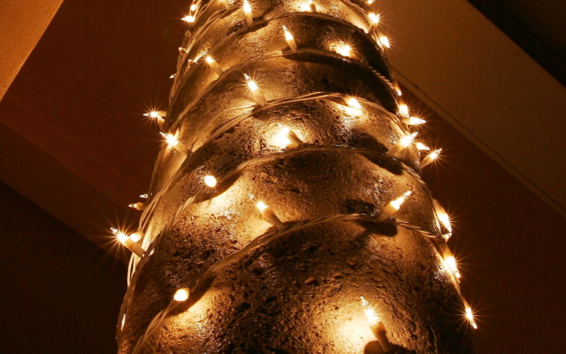 mini lights