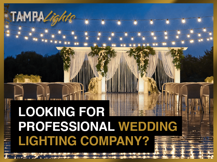 Reasons You Should Start Looking for a Professional Wedding Lighting Company