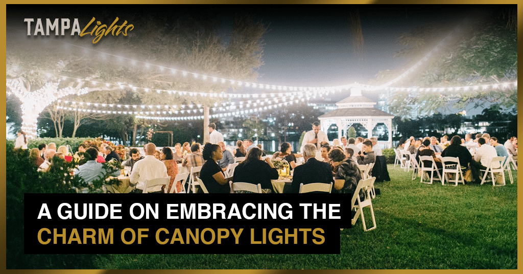 A Guide on Embracing the Charm of Canopy Lights